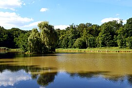 L'étang du Breuil.