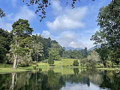 Main Pond at Cibodas Botanical Garden