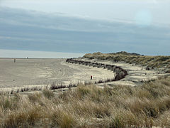 Duinen van Texel