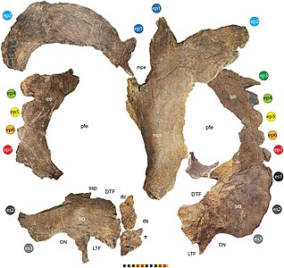 Ornament de Lokiceratops