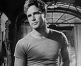 Marlon Brando 1951
