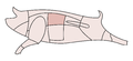 Vorschaubild der Version vom 14:51, 10. Dez. 2007