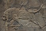 Львиная охота Ашшурбанипала. Рельеф из дворца царя Ашшурбанапала в Ниневии. 645—635 гг. до н. э. Британский музей, Лондон