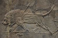 Baixo relevo assírio, Caça ao Leão de Ashurbanipal, Palácio do Norte, Nínive.