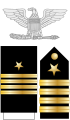 美國海軍上校肩章、袖章及配章