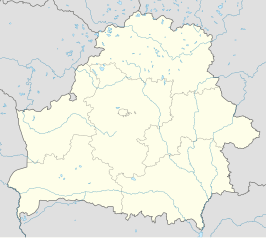 Pinsk (Wit-Rusland)