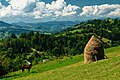 Haystacks Borșa Rodna Mountains National Park