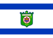 Vlag van Tel Aviv-Yafo
