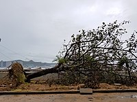 台風による被害の様子