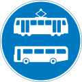 Voie de transport en commun (tramway et bus)