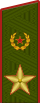 Повседневный погон генерала армии (с 2013)