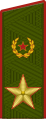 Генера́л а́рмии قائد عام للجيش (القوات البرية الروسية)