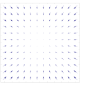 Dense vector field representation.