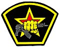Нарукавний знак спеціальних підрозділів внутрішніх військ МВС Росії
