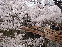 桜の季節の城門