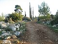 Burma Road bei Latrun