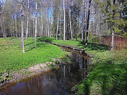 Река Кузьминка в Баболовском парке