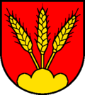 Blazono de Biezwil