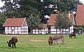 Eselhof in Langen