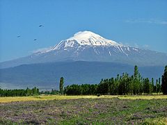 Blick auf das Massiv des Ararat