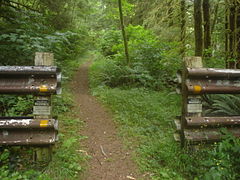 Entrance to Cummins Creek Wilderness