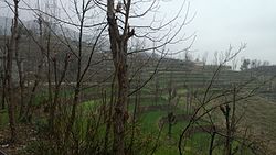 Terraced farming in Darorra