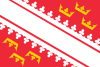 Знаме на Алзас