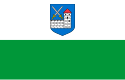 Bendera Ida-Viru County