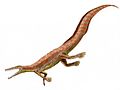 Mesosaurus (Sauropsida)