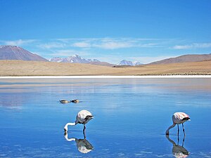 Озеро Титикака в Перу и Боливии