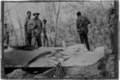 سقوط هواپیما پرتغالی در گینه بیسائو توسط سربازان PAIGC , 1974