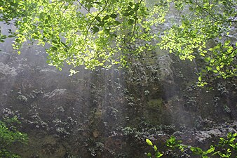 Inside the cavern