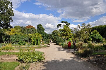 School of Botany garden