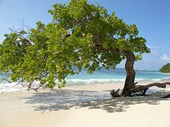 Morrocoy National Park in Falcón