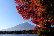 Autumn leaf color and Mount Fuji with snow seen from Lake Kawaguchi, Japan.