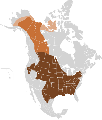 Distribuzione originale dei bisonti delle pianure e bisonti delle foreste. Il bisonte occidentale (Bison occidentalis) è una forma precedente di bisonte delle pianure e delle foreste.      Bisonte occidentale      Bisonte delle foreste      Bisonte delle pianure
