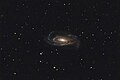 NGC 5033, une cible pour les astronomes amateurs.