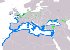 Distribución de Ichthyaetus melanocephalus