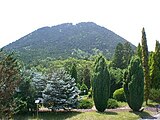 花緑公園から三上山を望む