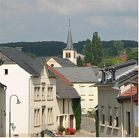 Osweiler