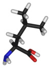 Chemical structure of Leucine