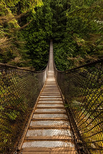 Висячий мост через каньон Линн в Ванкувере