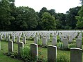 Reichswald Forest War Cemetery, aliancki cmentarz na którym pochowano 7594 żołnierzy (1 sierpnia 2010 roku)