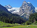 Rosenlauigletscher gesehen von der Strasse kurz vor Rosenlaui