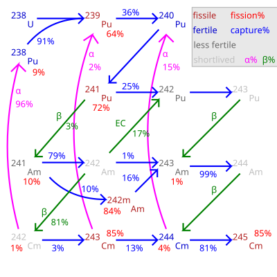 Elements de transició entre el Plutoni-238 i el Curi-244