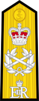 英国海军元帅肩章