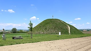 Der Leeberg bei Großmugl mit rund 14 m Höhe und etwa 50 m Durchmesser (Hallstattzeit)