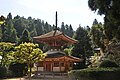 Pagoda di Kongozanmaiin (Il Tesoro Nazionale di Giappone)