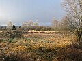 Paysage des Hautes Fagnes.