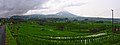 Terasering Jatiluwih di Bali, Indonesia.